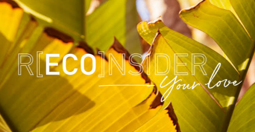 Springfield: Nova campanha R[ECO]nsider! Image