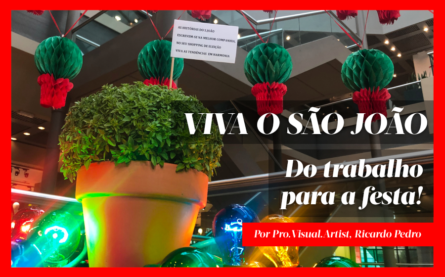 Viva o S. João: Do trabalho para a festa! image