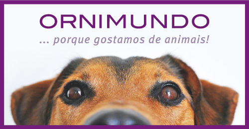 A Zoofeira dá lugar à Ornimundo! Image